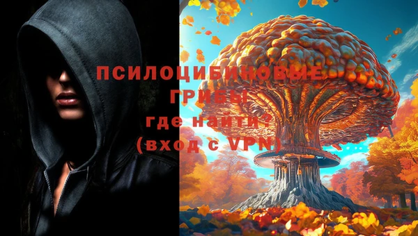 ПСИЛОЦИБИНОВЫЕ ГРИБЫ Баксан