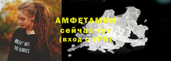 ПСИЛОЦИБИНОВЫЕ ГРИБЫ Баксан