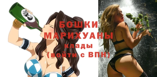 a pvp Няндома