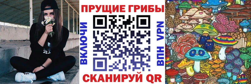 Псилоцибиновые грибы Cubensis  Баксан 